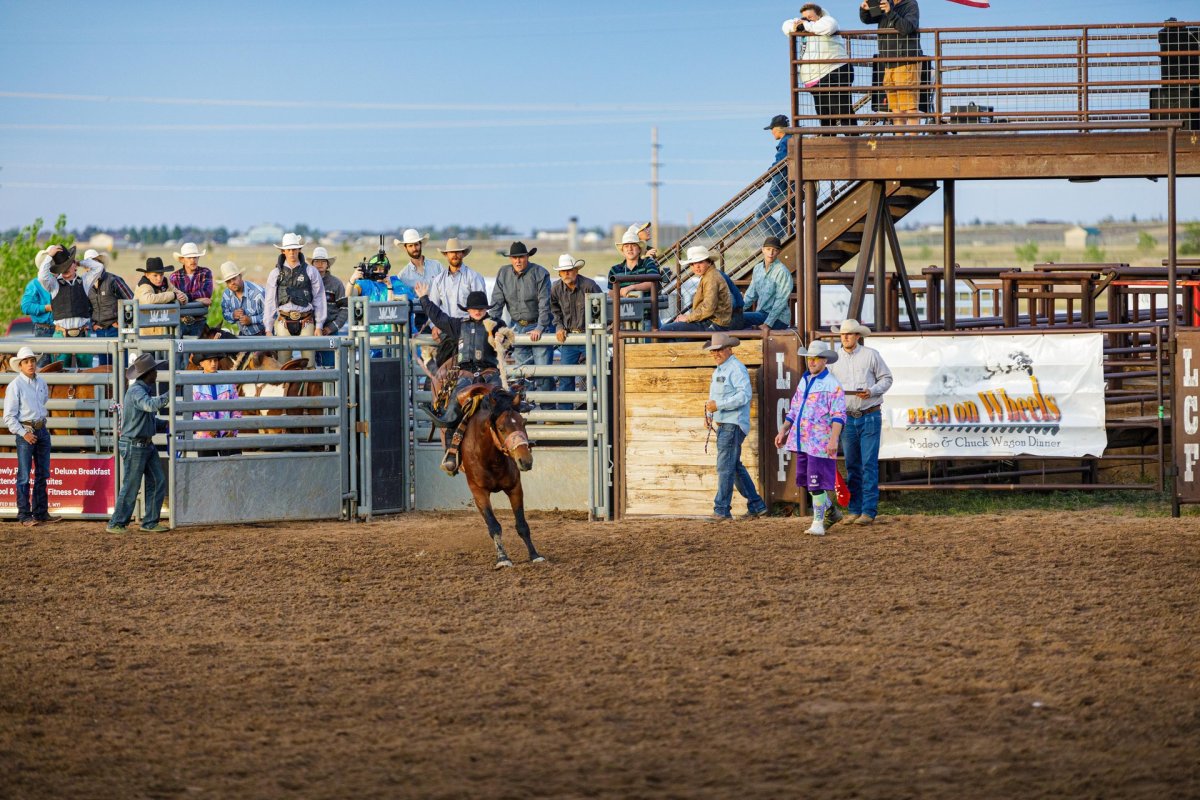 Bronc Rider during Hell on Wheels Rodeo in Cheyenne, Wyoming.