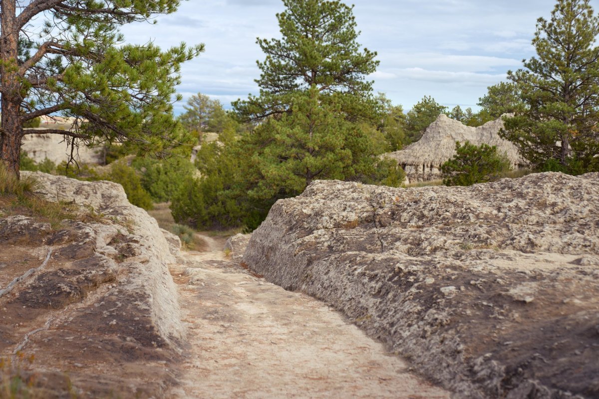 Oregon Trail Ruts