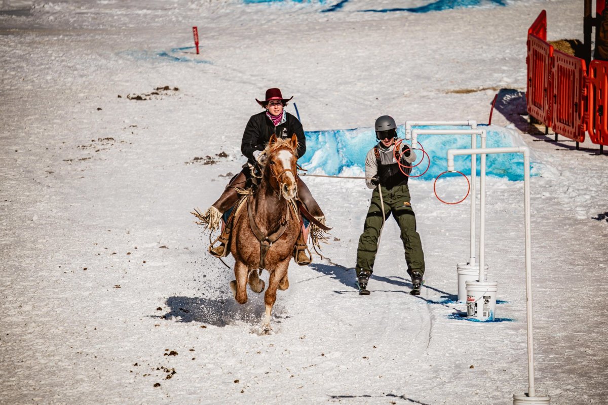 Horse and rider pulling a skiier with a rope through an snowy obsticle course.