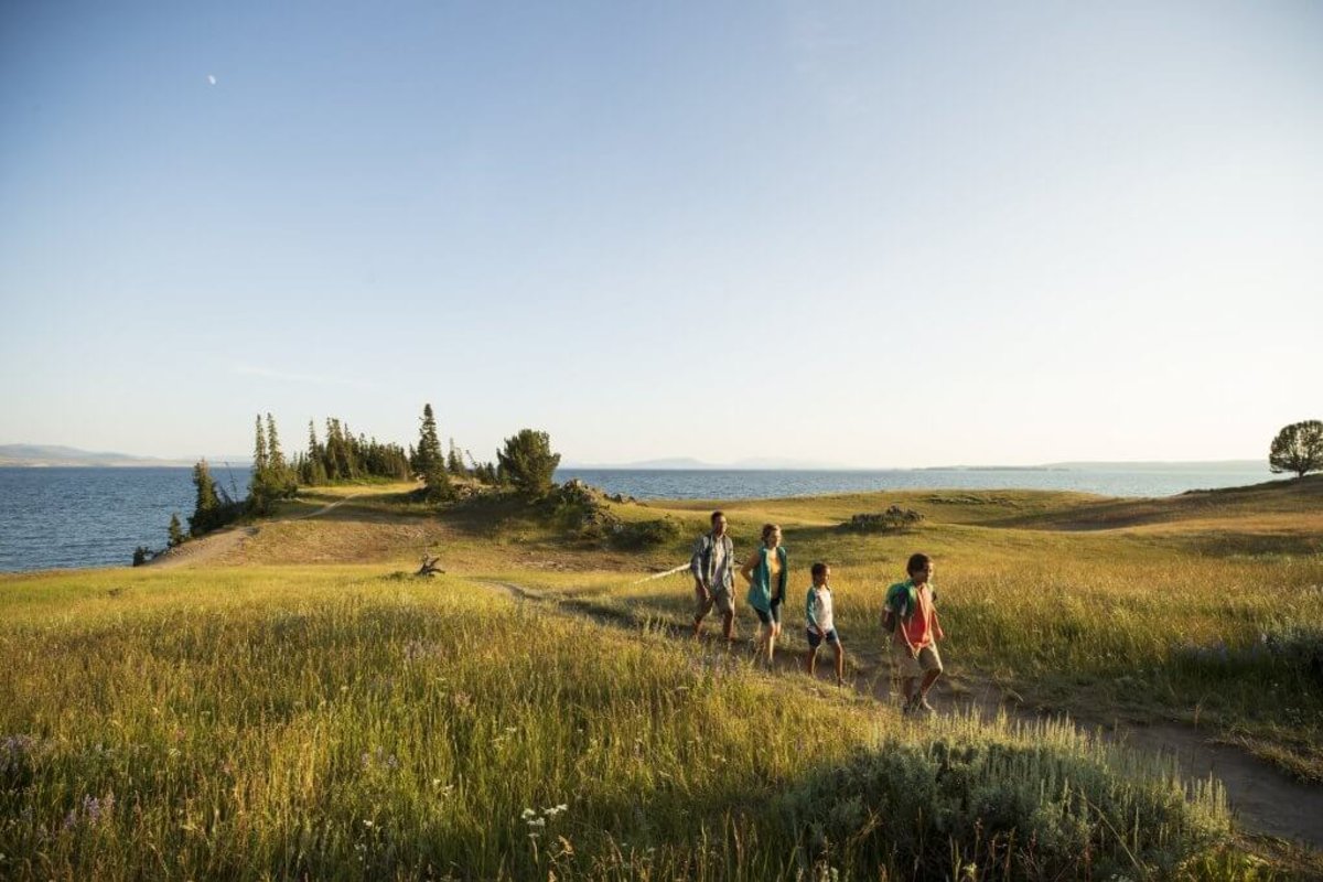 A family of four hiking on a trail surrounded by tall grass and a scenic point overlooking a body of water in the background.