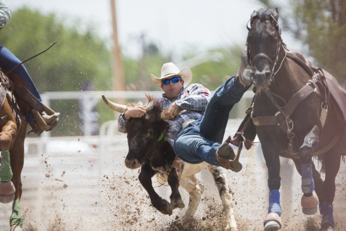 Steer Wrestling at a family rodeo.