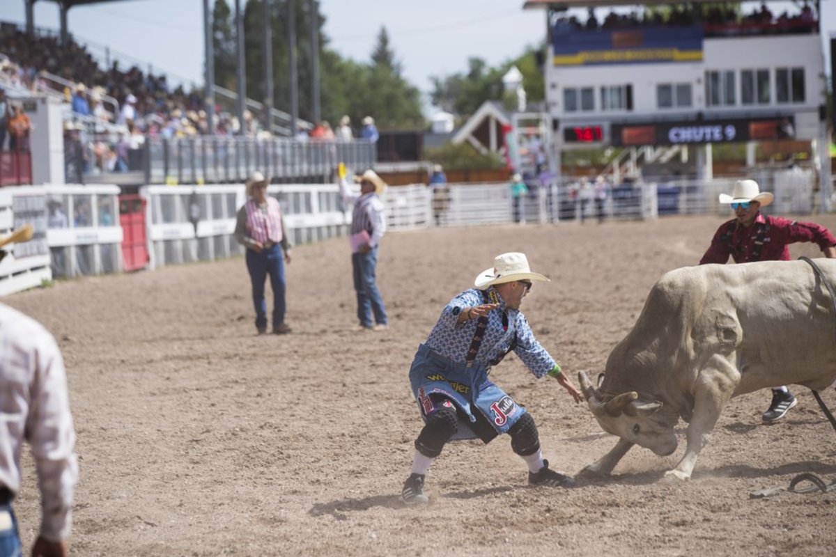 A rodeo in Wyoming taking place with a man speaking commands at a bull.