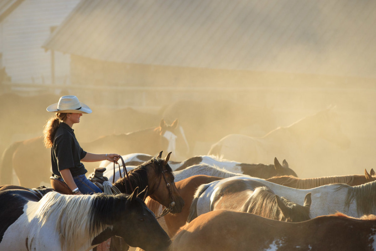 A woman riding a horse surrounded by other horses at Eatons' Ranch.