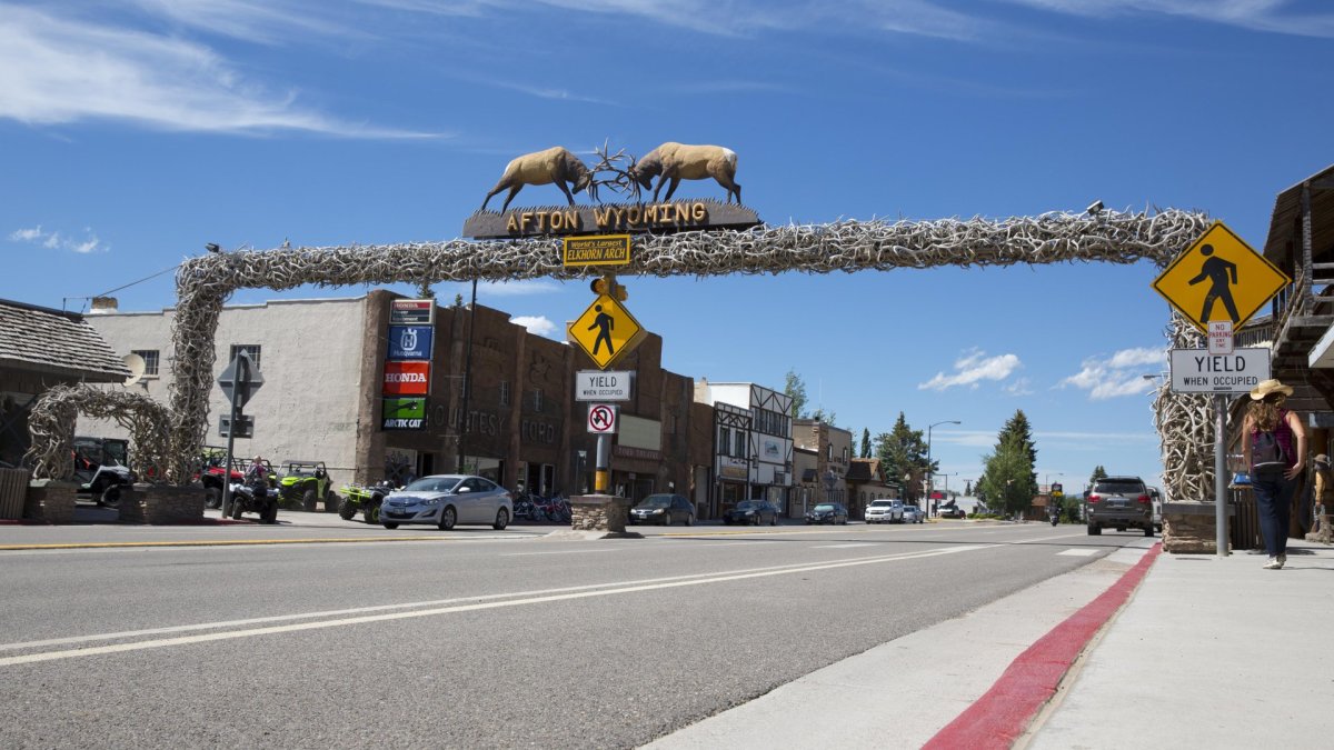 Afton antler arch
