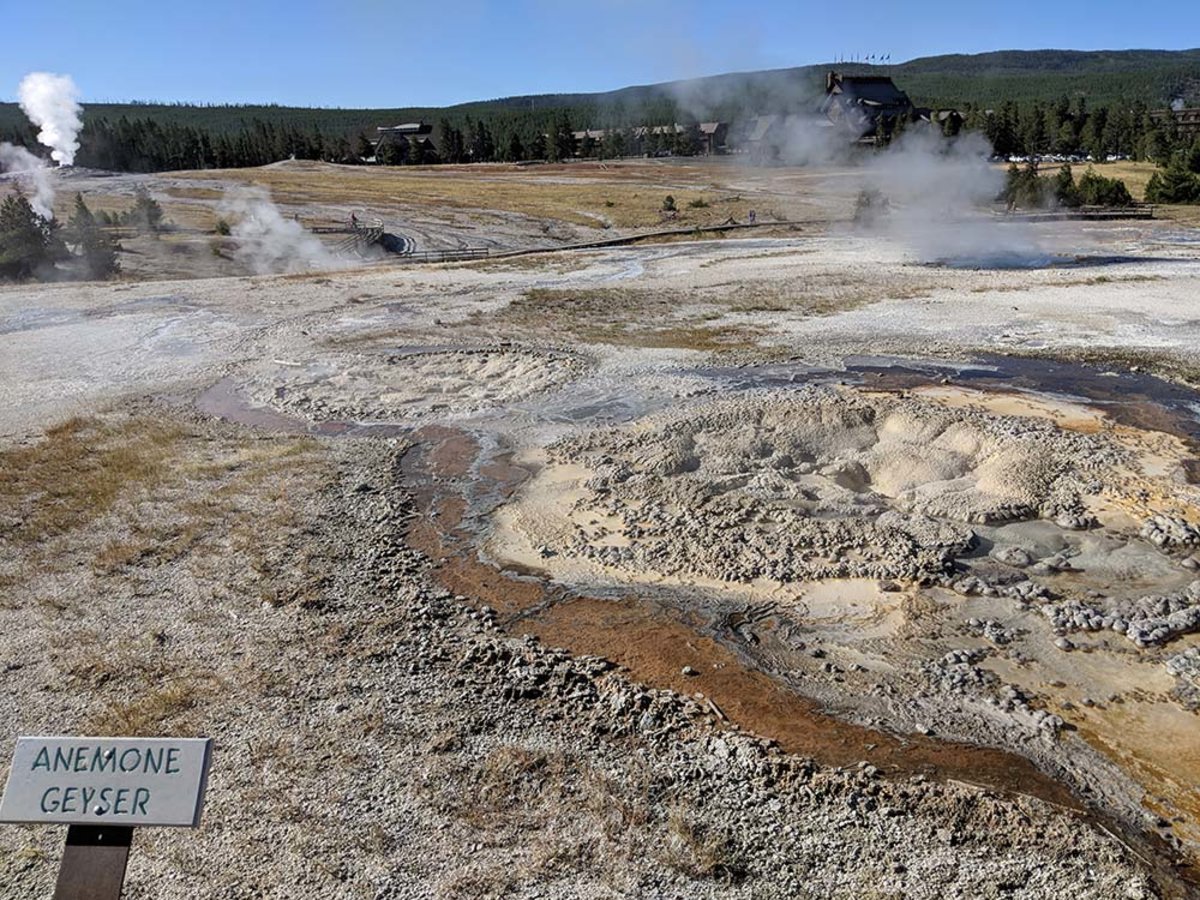 Anemone Geyser