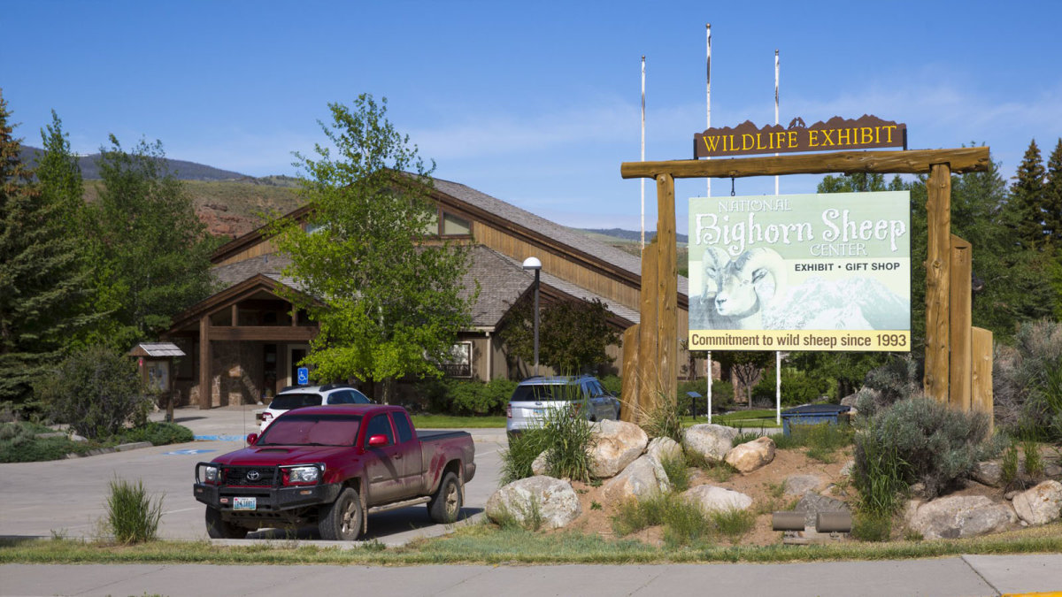 National Bighorn Sheep Center