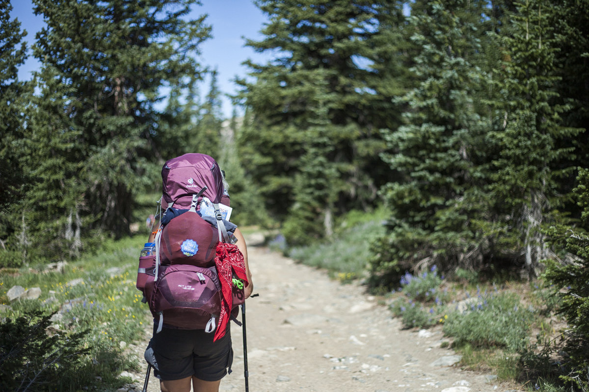 Backpacker with a pack on a trail in the woods.