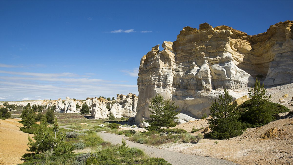 Greenery and unique rock formations at Castle Gardens Petroglyph Site, a stop 45 miles east of Riverton 