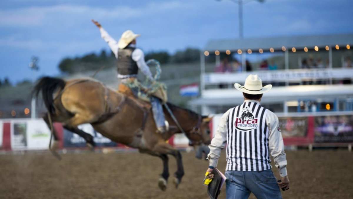 A man stands in front of a bucking bronco, a crowd favorite at Cody Nite Rodeo and one of the top things to do in Cody.