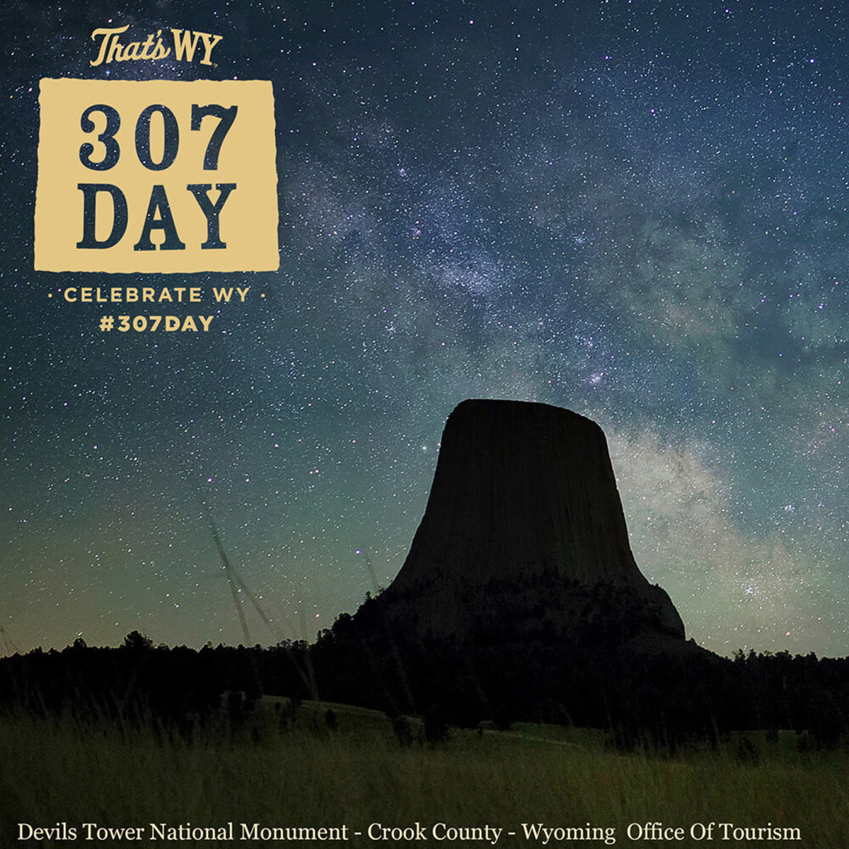 307 Day at Devils Tower Stargazing

