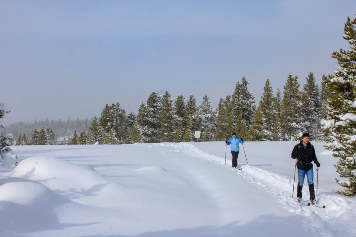 2 people snowshoeing in Yellowstone National Park during the winter.