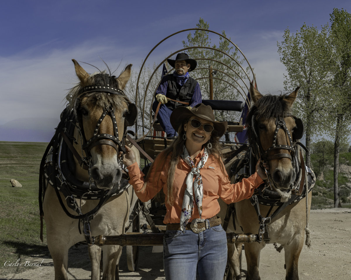 My name is Ashlee Kintzler and I am a lifetime Wyomingite bringing 10 years of team driving experience to the beautiful and historic town of Buffalo, WY. My love for the Bighorn Mountains and the Buffalo community settled me here on Clear Creek about three years ago, with my two dogs and a growing herd of paint horses.
I grew up in Fremont County, Wyoming where my family's love for horses, both under saddle and under harness, inspired my passion to pursue this business. I am proud to roll a little extra western into our old west town of Buffalo! With the state beginning to show more and more turns towards progress, I am determined to play my part in preserving a piece of my family and Wyoming's heritage and culture by offering authentic western experiences by way of horse and wagon. 
MORE THAN A WAGON BUSINESS - Growing up, horses - both under harness and under saddle - became a lifeline to my heritage. My grandmother's love for her horses and my father's love for driving them instilled in me a hard-wired desire to honor them both through my inherited passion for the animal. Namesake, Dorothy Mae Stables, LLC was formed in honor of my late grandmother, which houses my business, and the many close-calls my father has encountered with the Lord encouraged me to launch Moon Hitch Wagon Co. while he is still here to bear witness to an extension of himself through his daughter. This dream was born out of loss, and fear of losing. I believe I have created a unique service of providing exceptional consumer experiences, dedicated to nostalgic stimulation and authenticity. Through my heritage and passion for hospitality, I serve the public, with a heart full of honor and tradition.
"Honor thy father and thy [grand]mother," Commandment 5, Exodus 20:12
We offer all-inclusive history and community-focused experiences every Wednesday-Monday, May through September, specifically in Buffalo, WY.