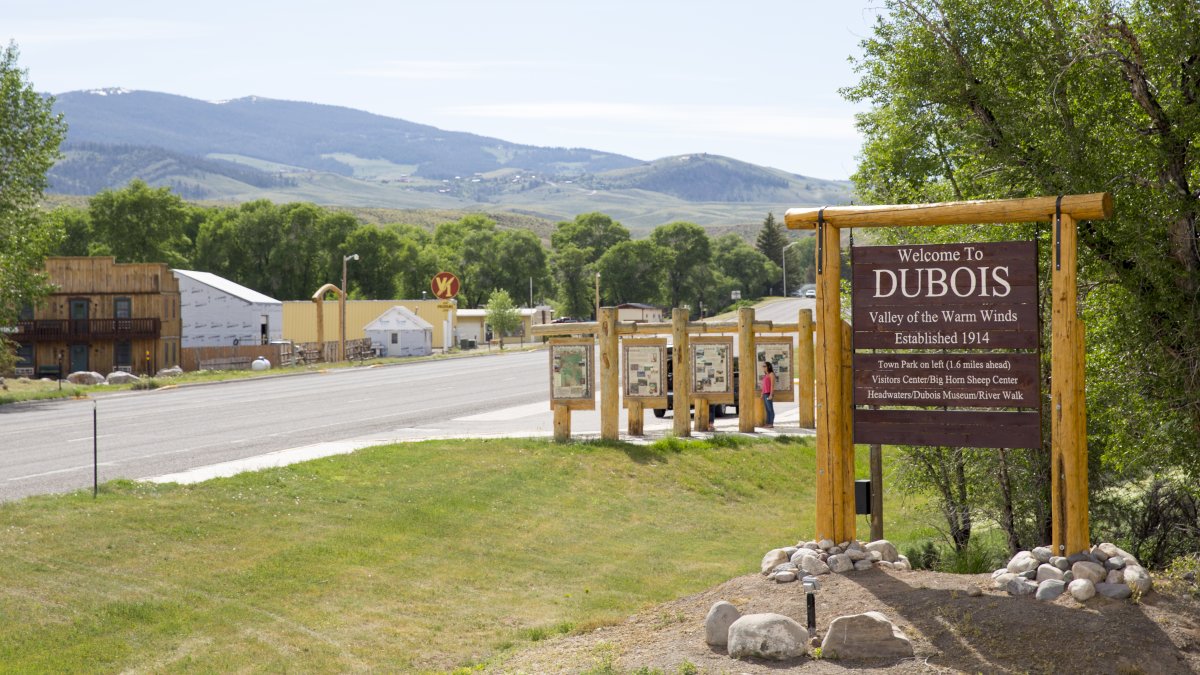 Dubois town sign