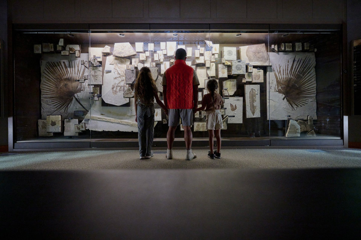 Family looking at the difffernt fossils in a display.