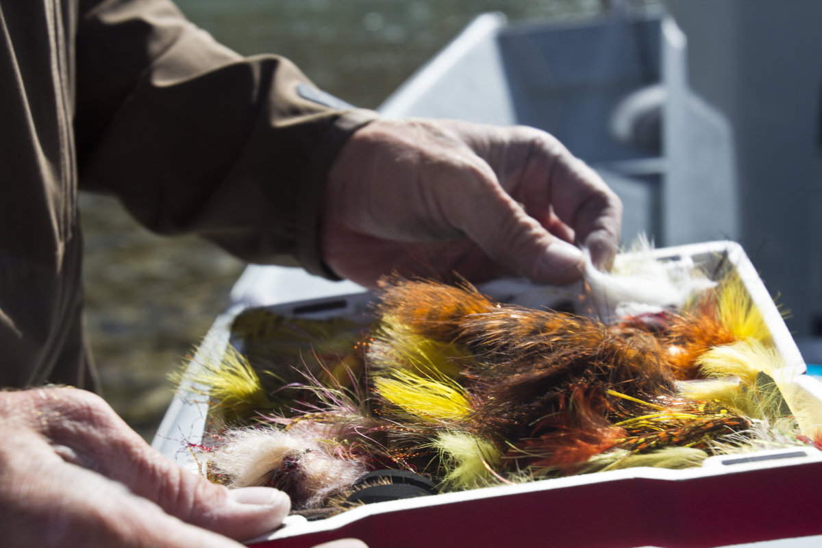 Fly assortment for fishing