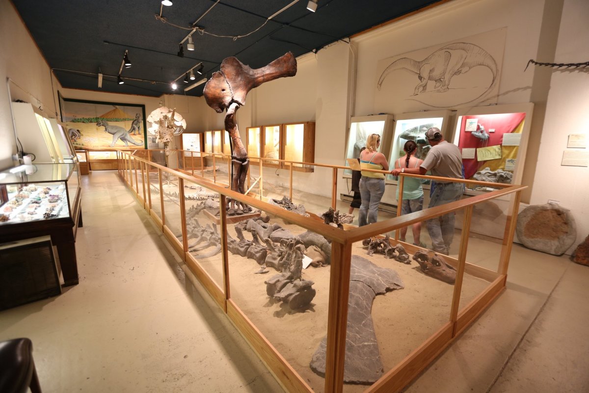 Inside the Glenrock Paleon Museum