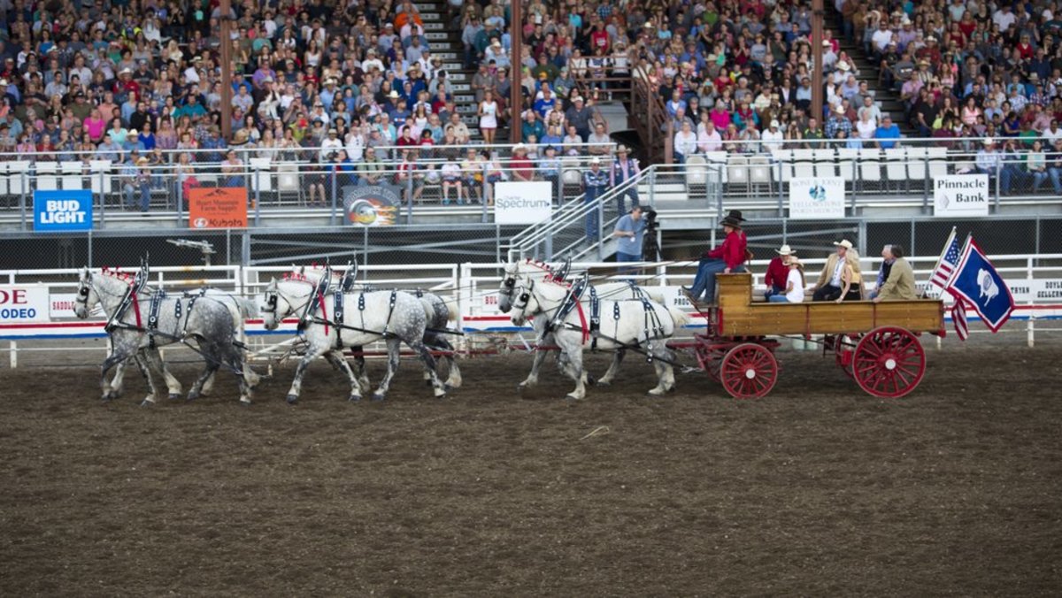 Cody Stampede Rodeo