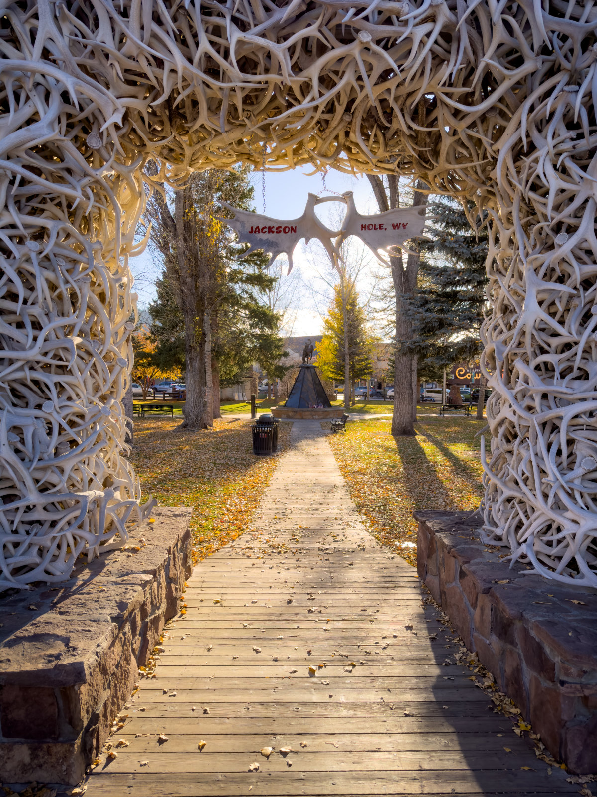 Jackson Anter Arch