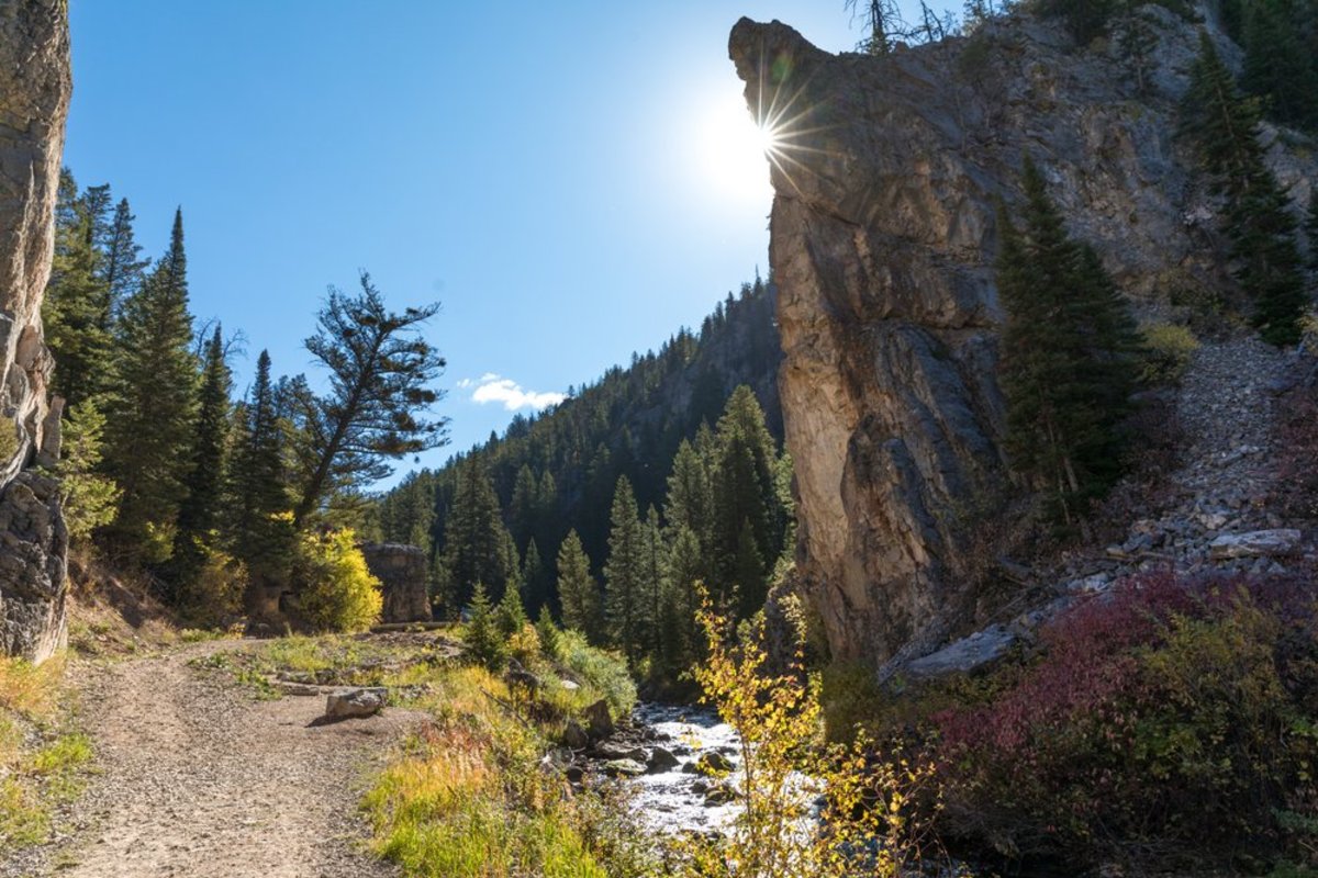 Greenery with a river and mountains at Intermittent Spring near Afton Wyoming