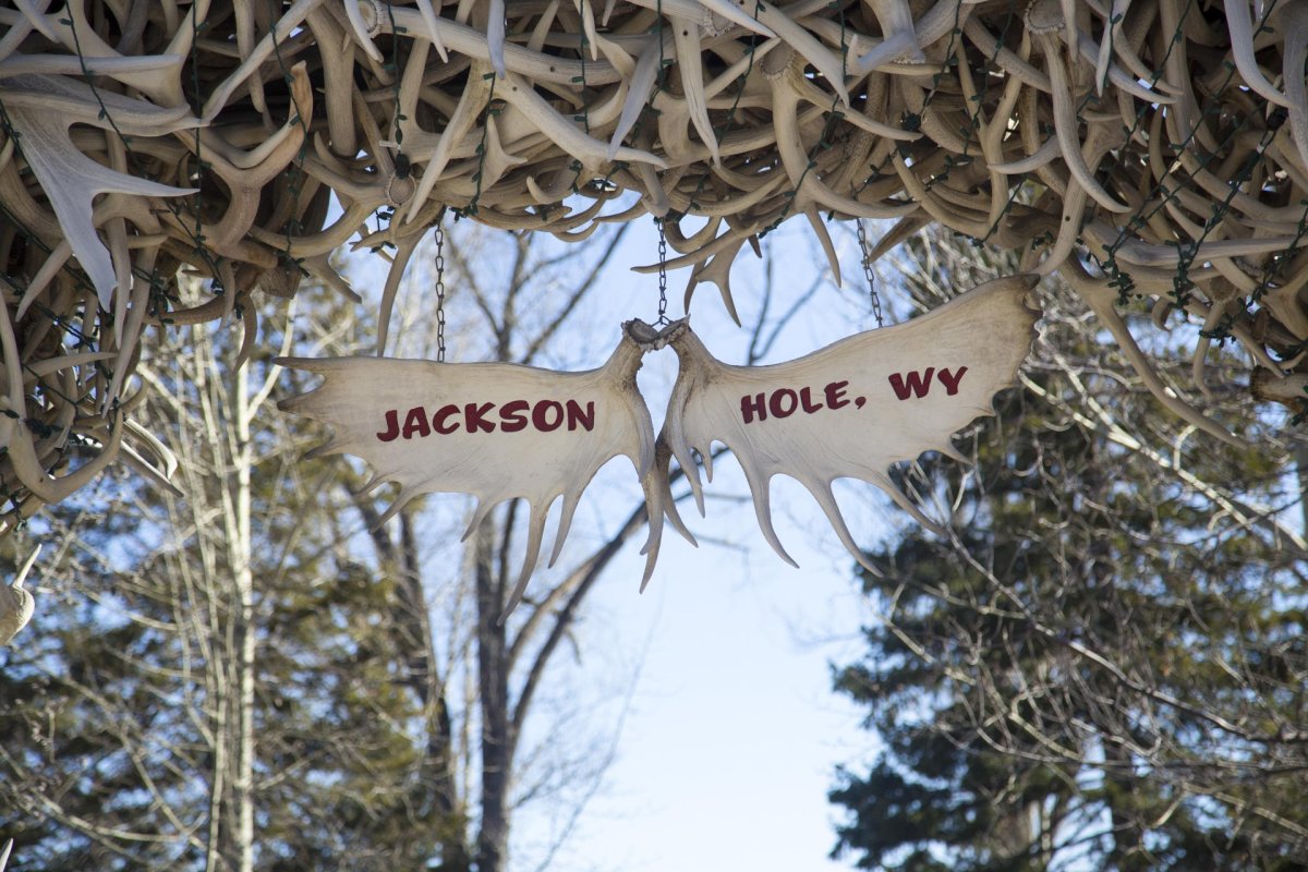 Jackson Hole Arch