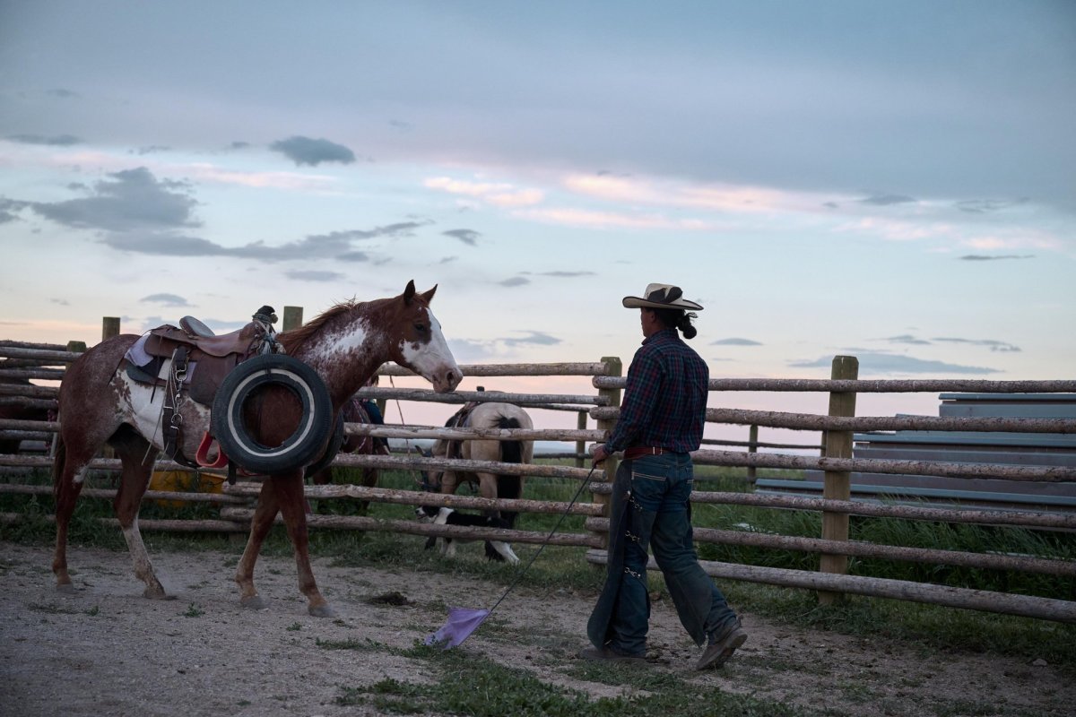 Wild Horse Sanctuary