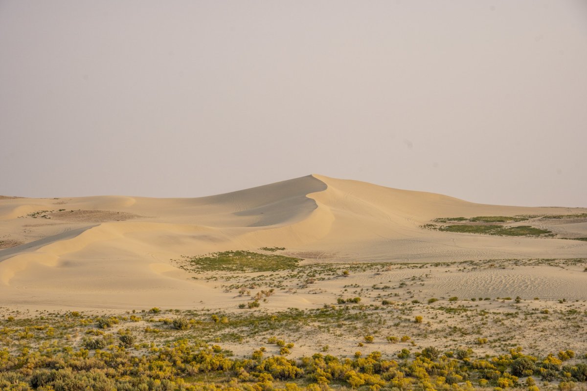 Killbpecker sand dunes - Red Desert