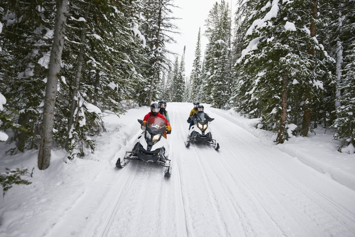 People snowmobiling through the woods.