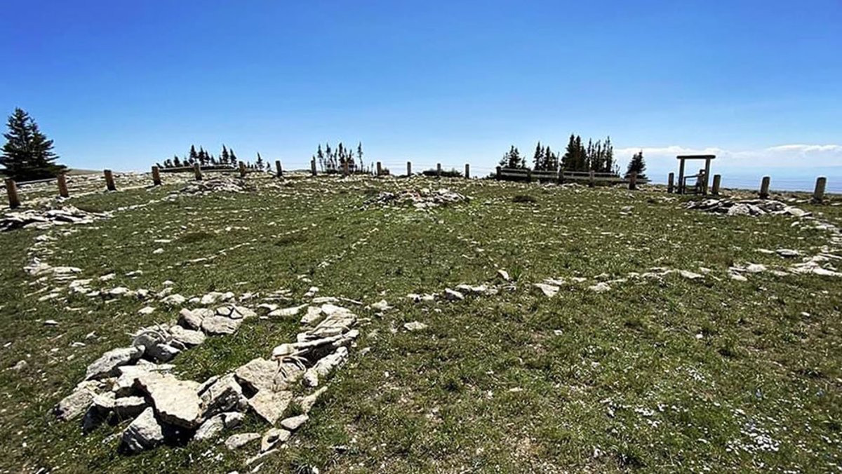 greenery in front of a clear sky at Medicine Wheel Historic Landmark in Wyoming