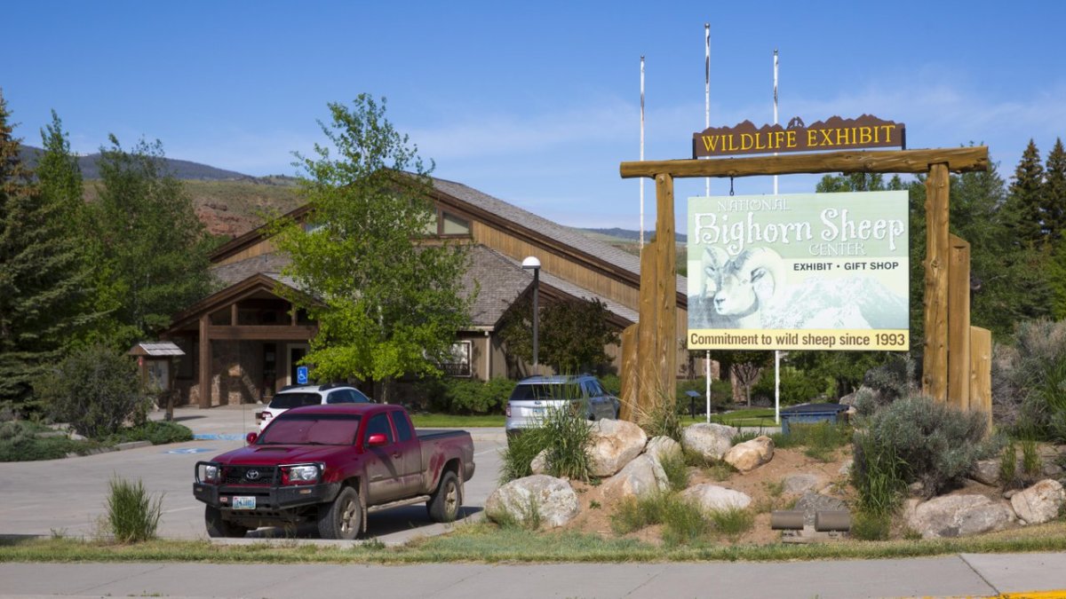 National Bighorn Sheep Center