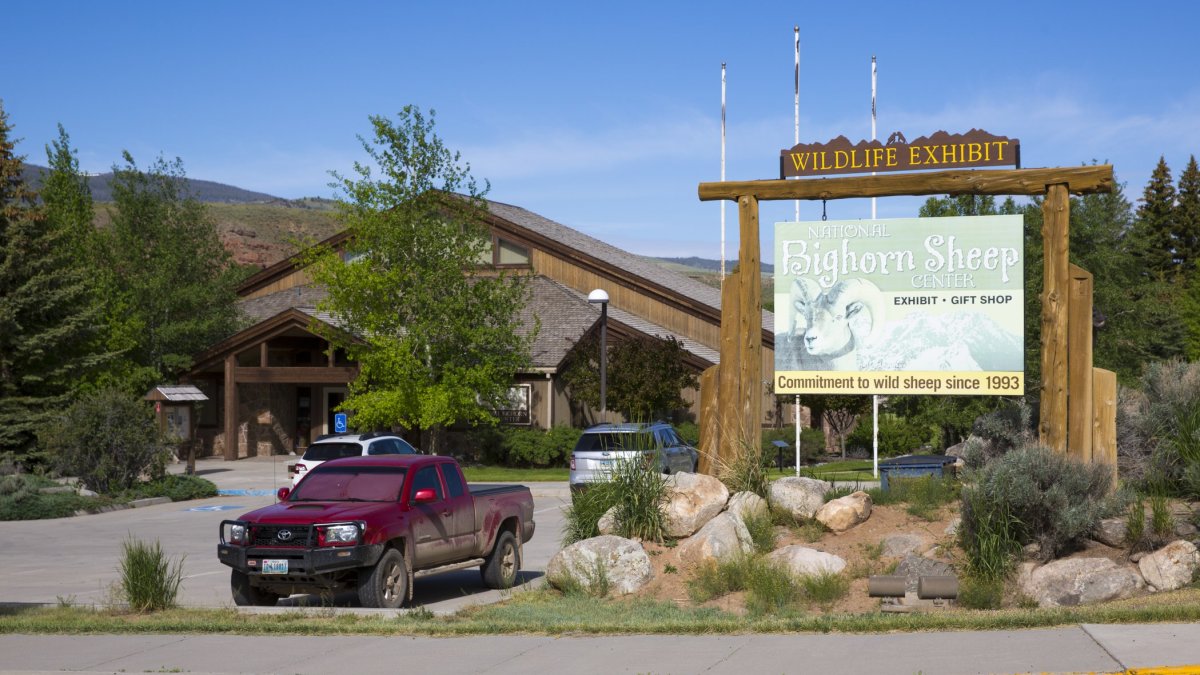 National Bighorn Sheep Center in Dubois, WY