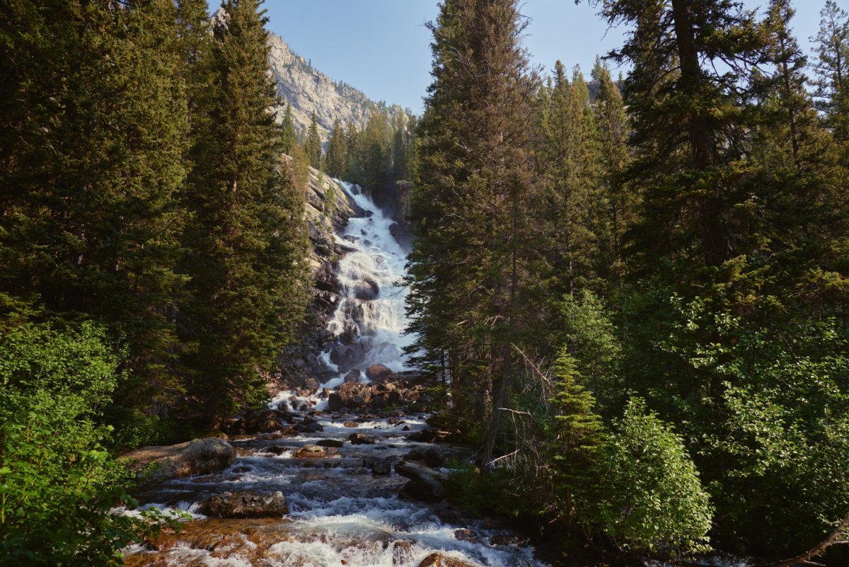 Waterfall through the forest.