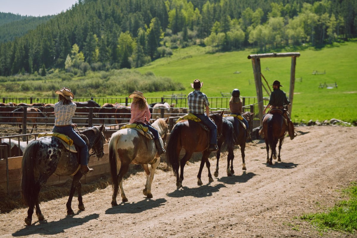 Family horseback riding together.