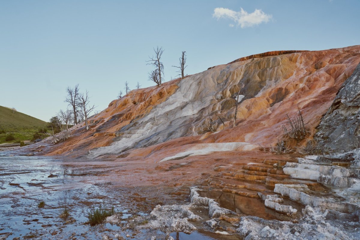 Mammoth Hot Springs