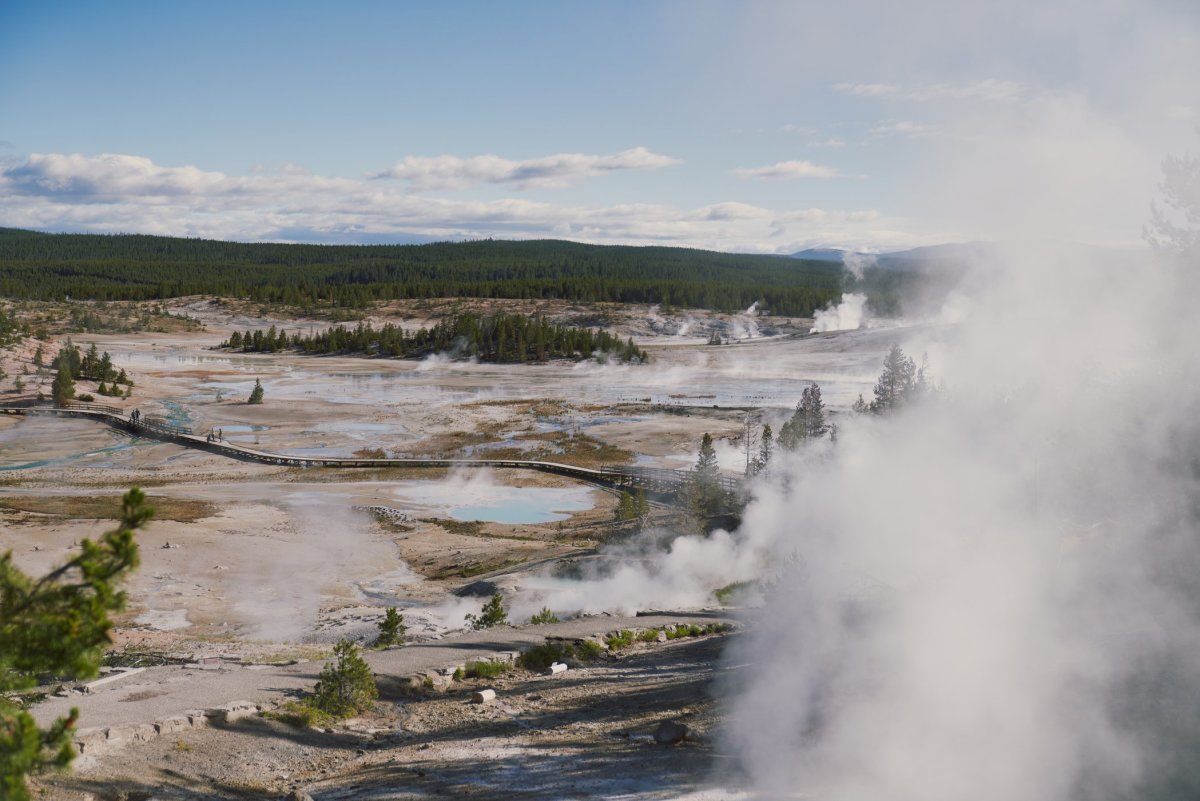 Overlook of Norris Geyser Basin