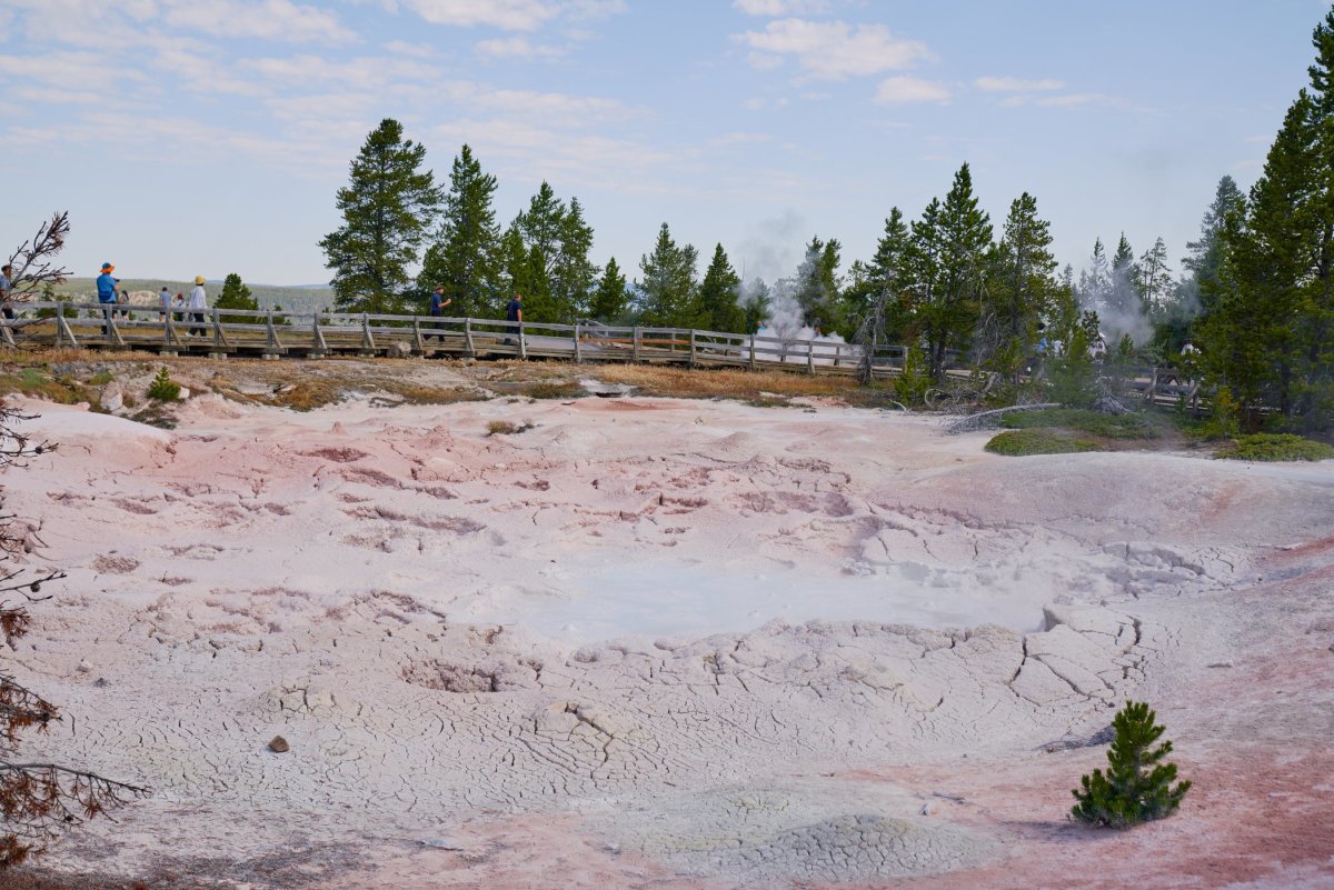 Thermal feature at Lower Geyser Basin