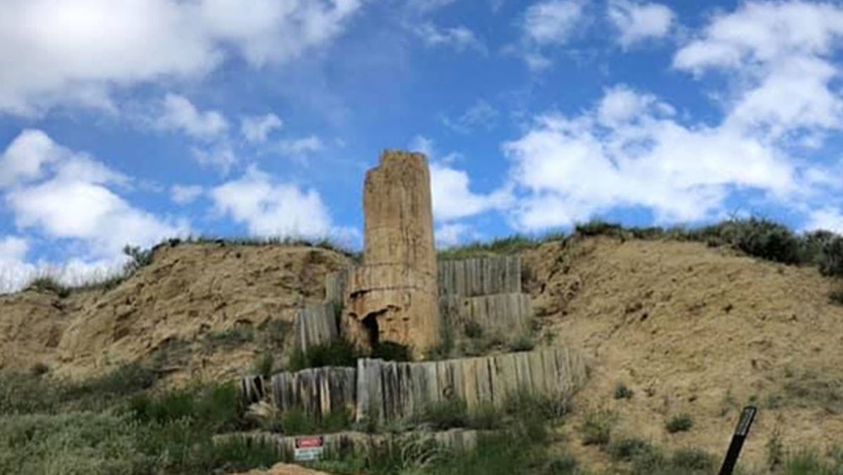 a rocky landscape with some greenery at Dry Creek Petrified Tree Education Area, a stop 12 miles east of Buffalo