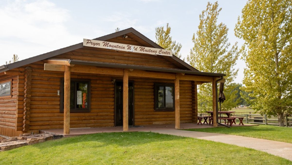 Outside of the Pryor Mountain Wild Mustang Center in Lovell Wyoming