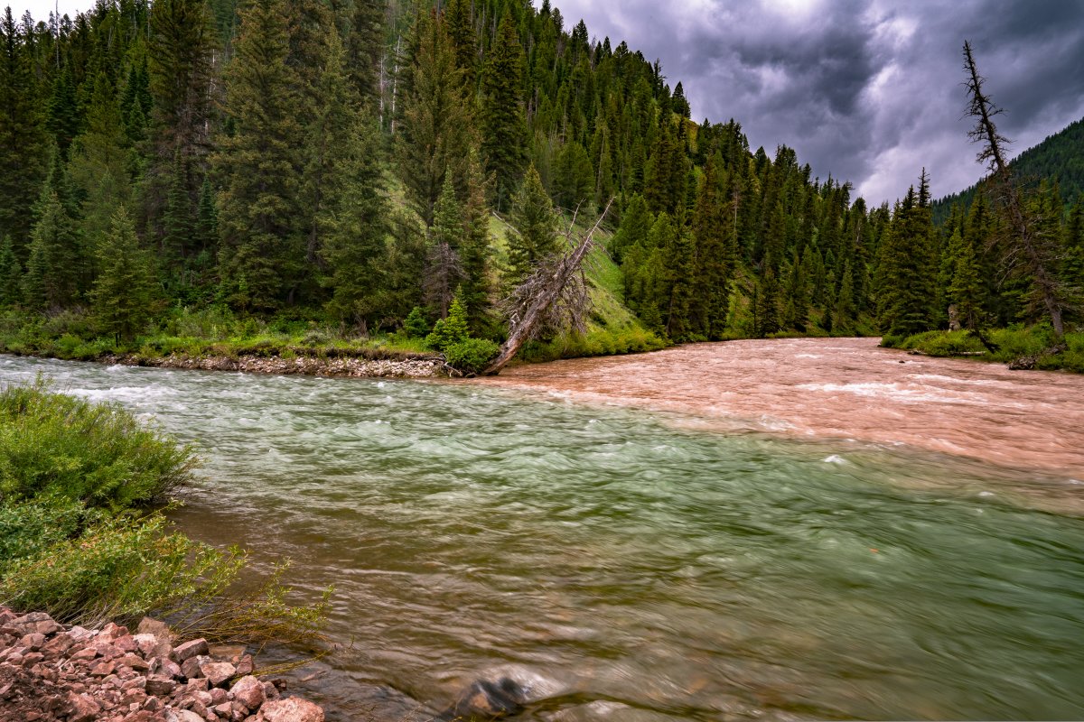 The Atlantic and Pacific creeks running through the greenery of the Bridger-Teton National Forest. I…