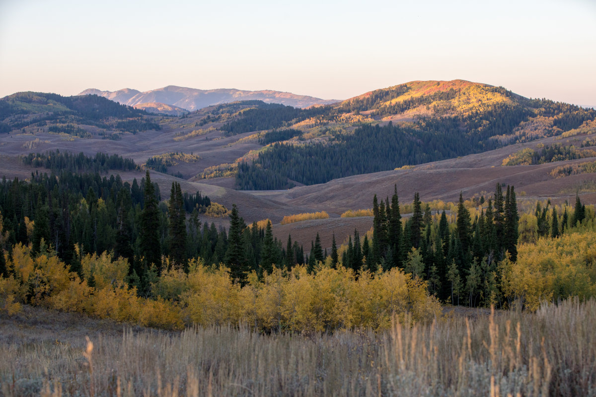 Salt River Pass along the Star Valley Scenic Byway