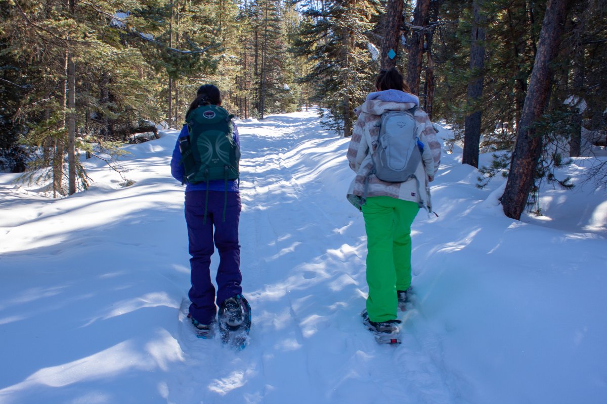 Snowshoeing near Saratoga