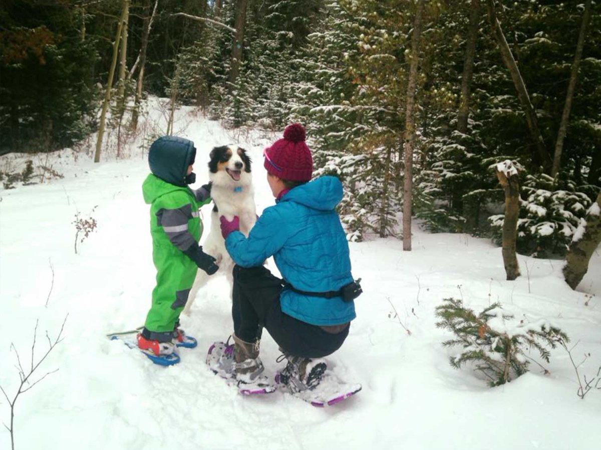Top Cross-Country Ski & Snowshoe Trails in Pinedale