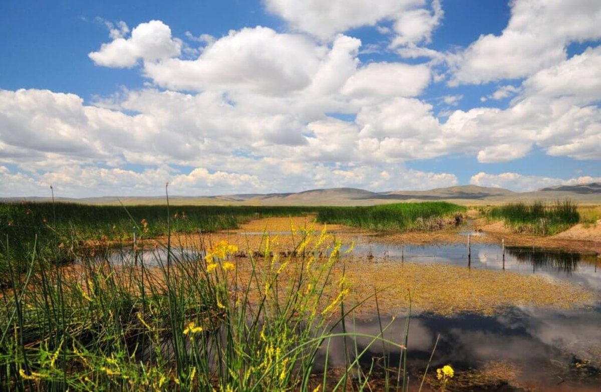 A breathtaking view off the Star Valley Scenic Byway, a popular thing to do.