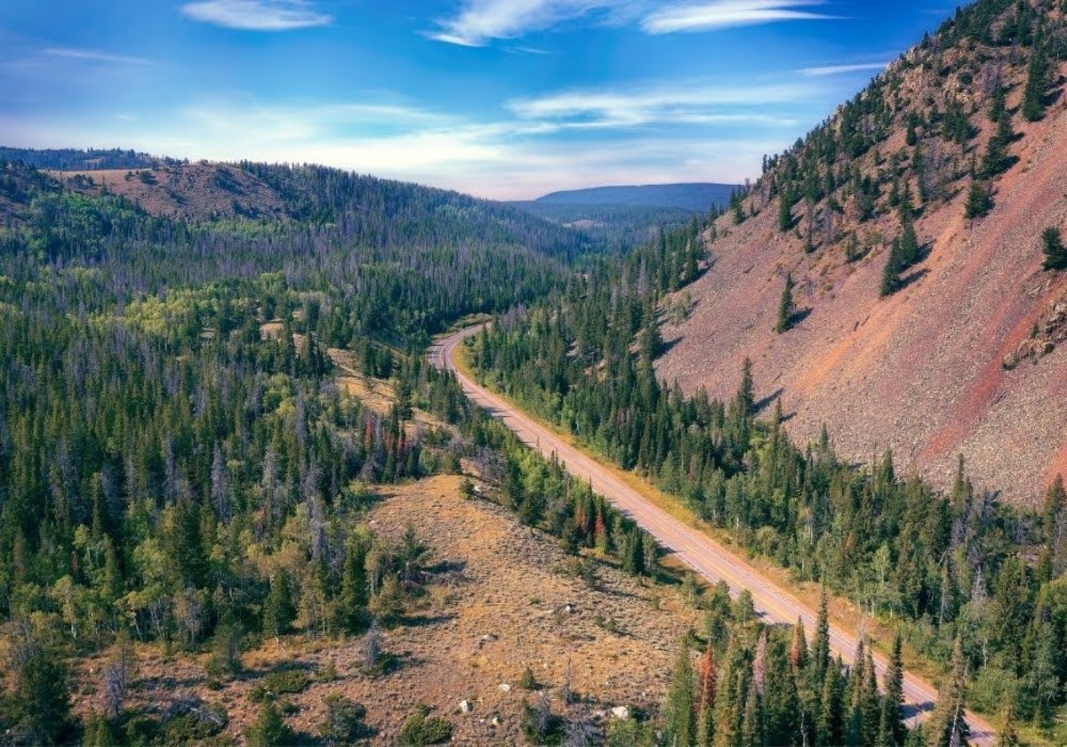 Medicine Bow-Routt National Forest