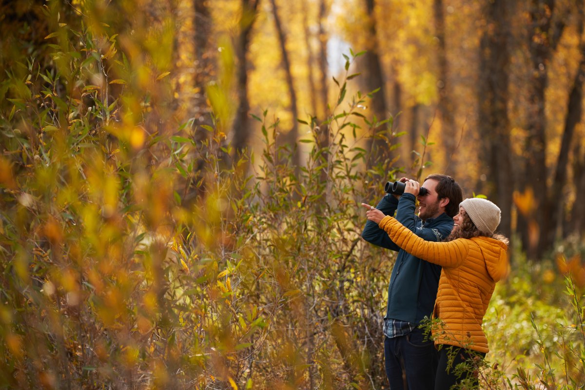A couple hiking with beautiful fall colors in the backdrop near Jackson, Wyoming.