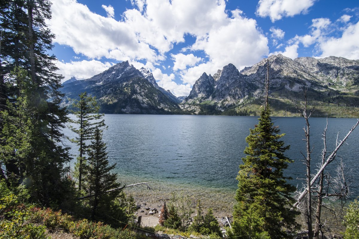 Jenny Lake