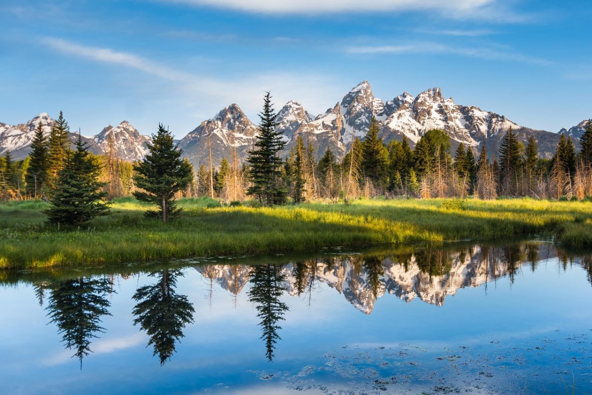 Grand Teton Summer