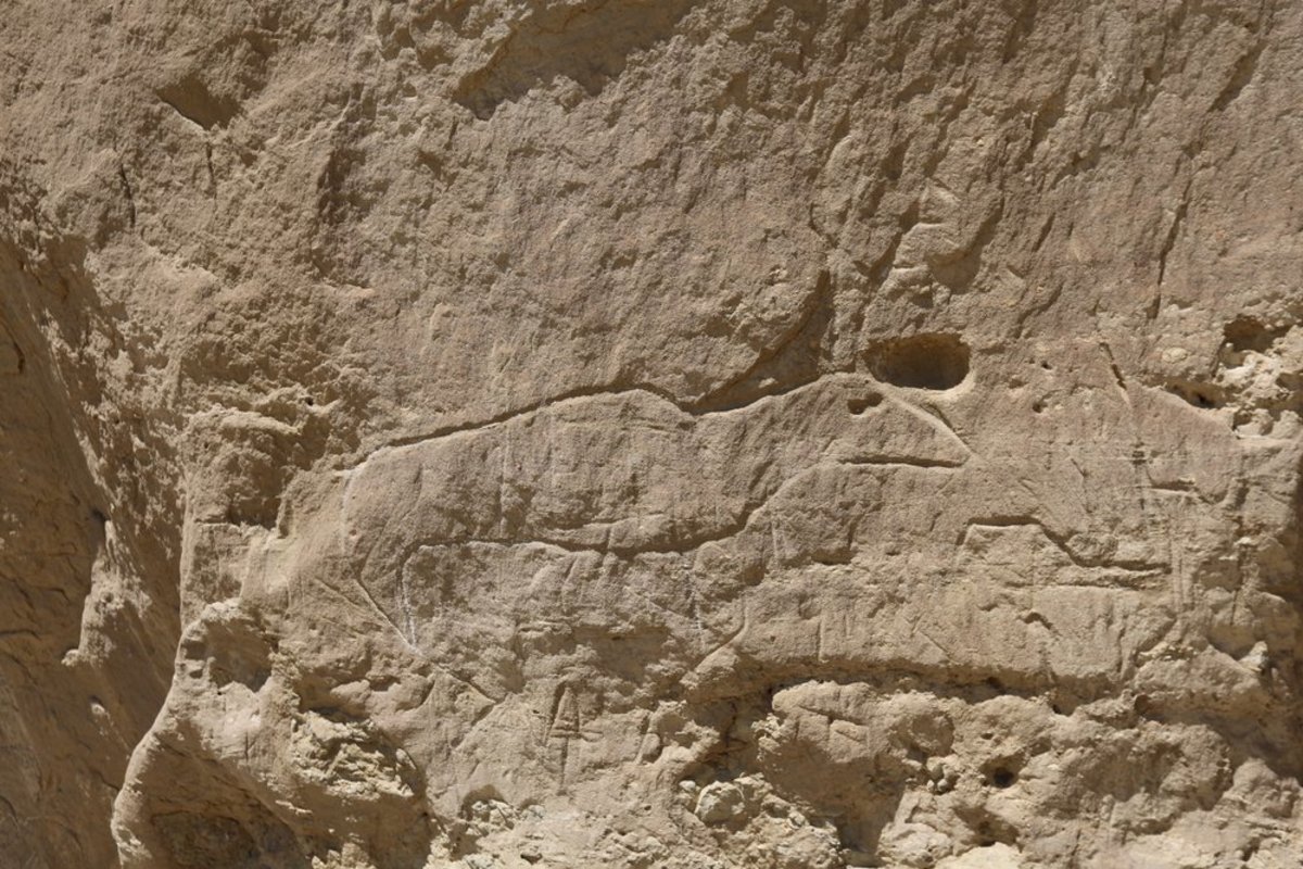 Petroglyphs