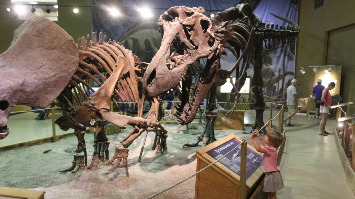 Wyoming Dinosaur Center - Thermopolis