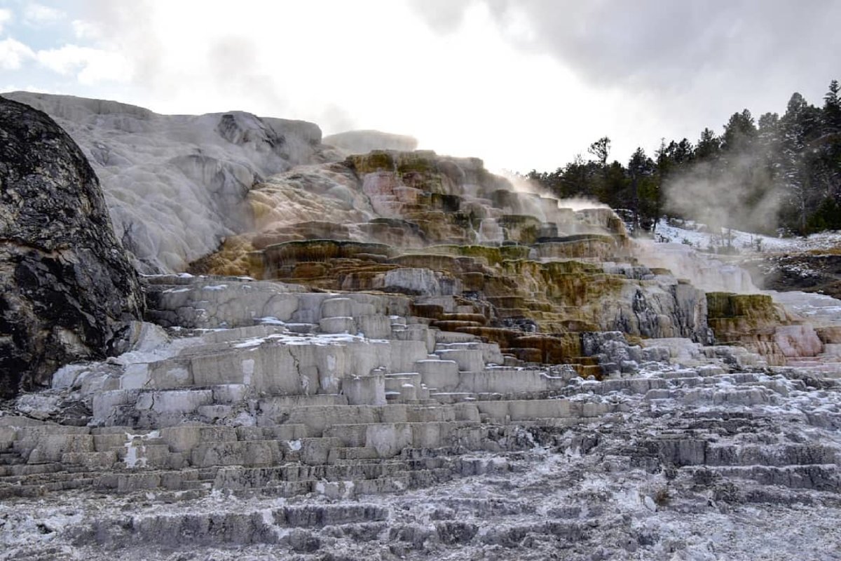 The Terraces of Mammoth Hot Springs