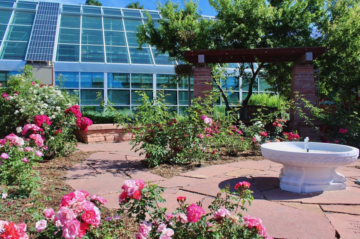 Relaxing in the Rose Garden of the Cheyenne Botanical Gardens